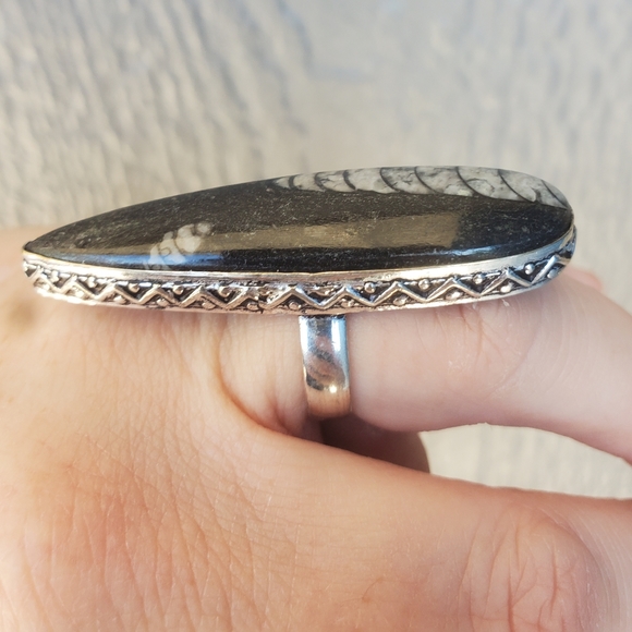 New Oversized Orthoceras Fossil 925 Silver Statement Ring. - Picture 13 of 16